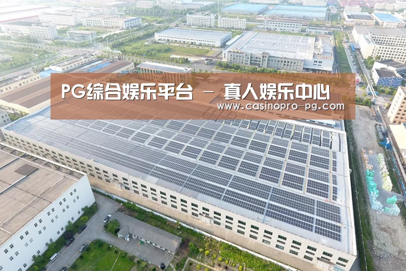 案例展示一