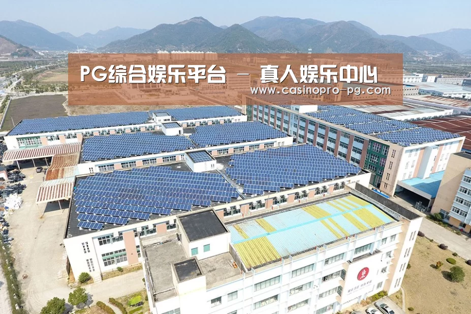 案例展示一