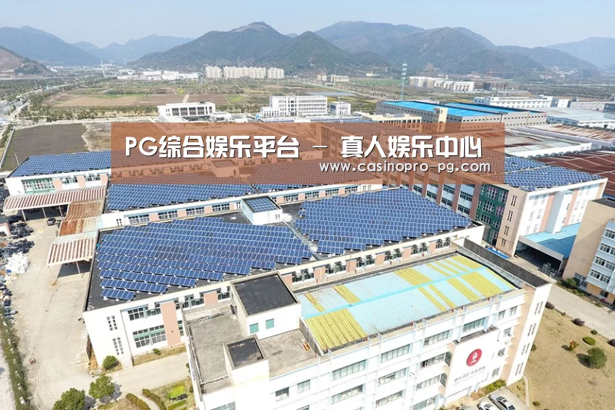 案例展示四