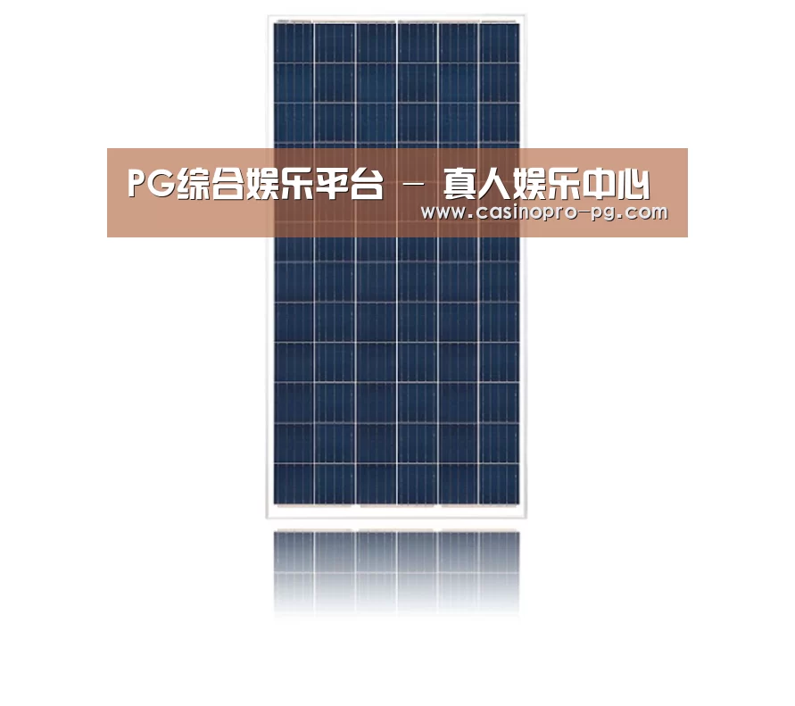 产品名称一