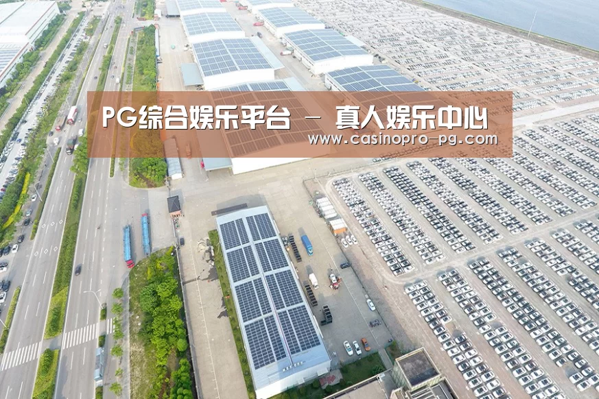 案例展示一