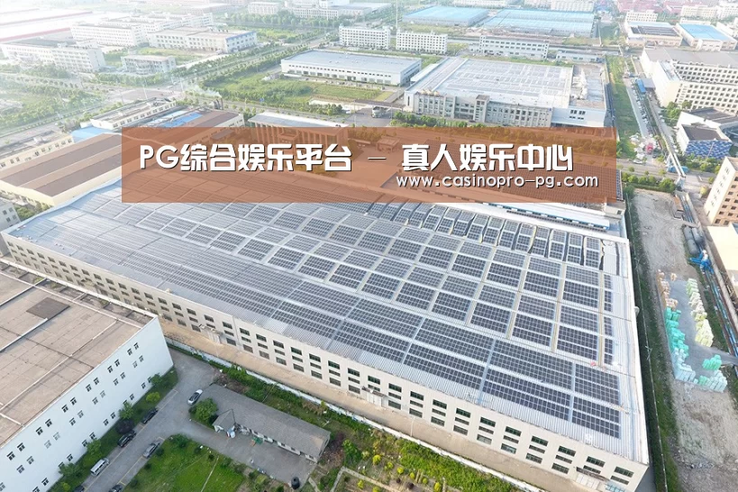 案例展示三