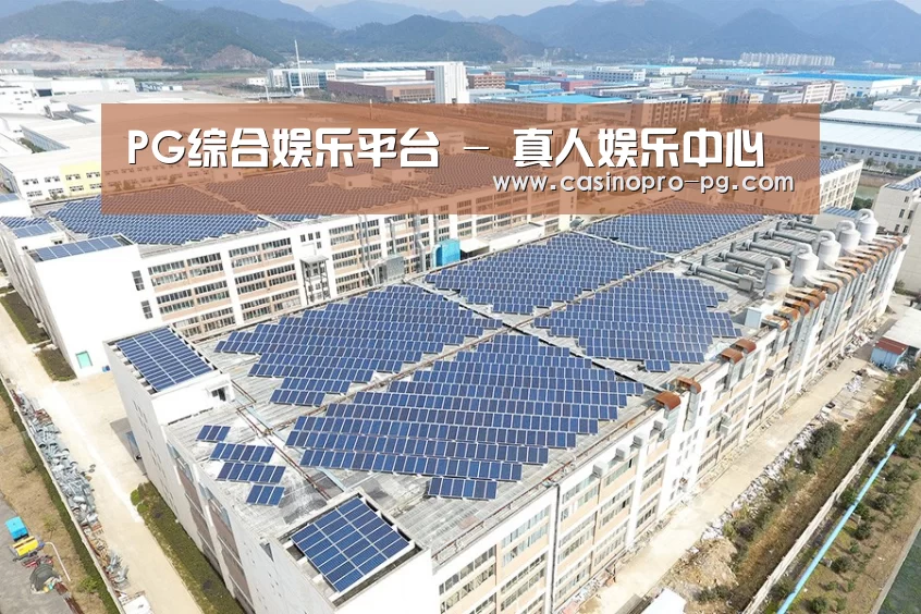 案例展示四