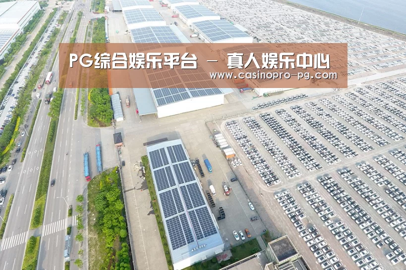 案例展示一