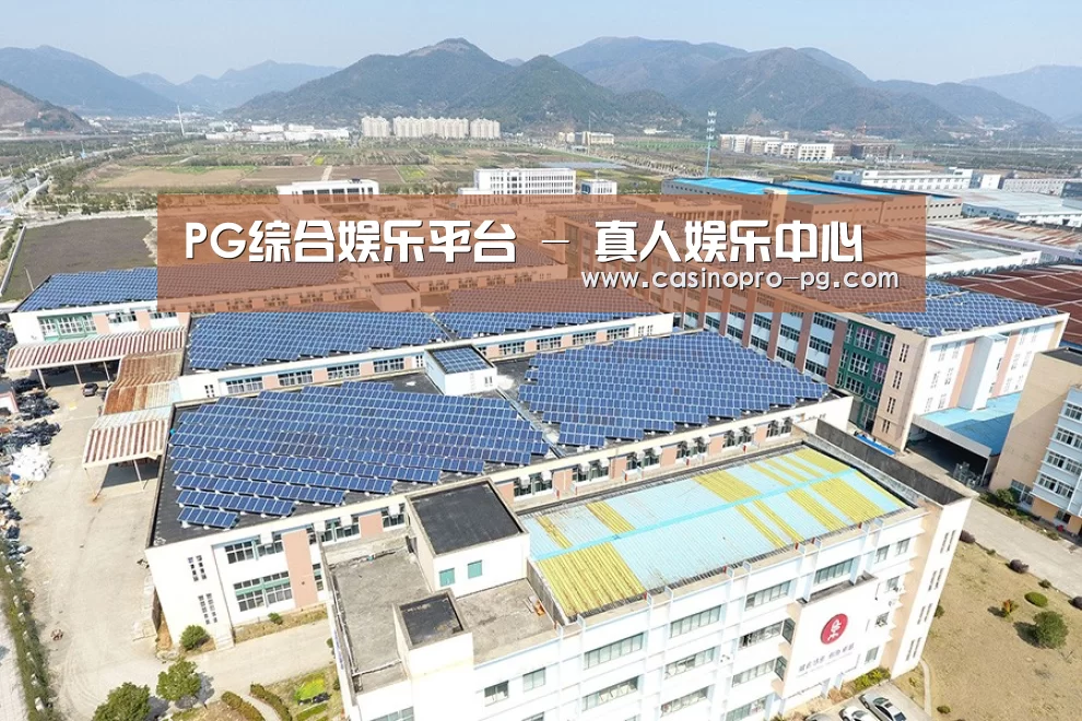 案例展示三