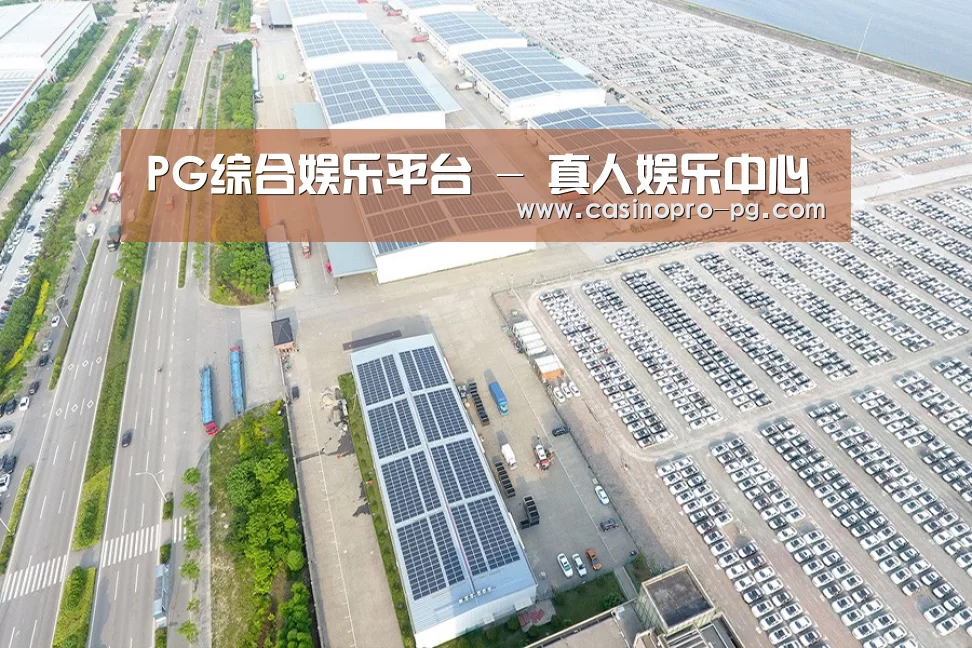 案例展示四