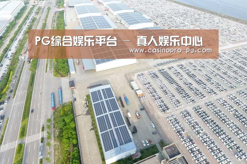 案例展示三