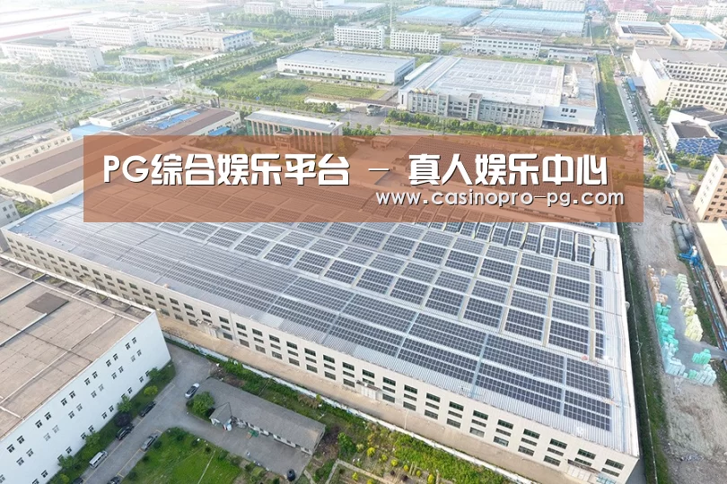 案例展示四