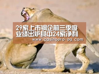 29家上市钢企前三季度业绩出炉其中24家净利同比下滑:PG篮球(图1) PG电竞