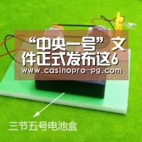 “中央一号”文件正式发布这6个术语您都懂吗?‘PG篮球’(图4) PG电竞