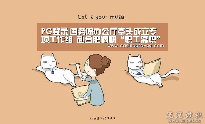 PG篮球