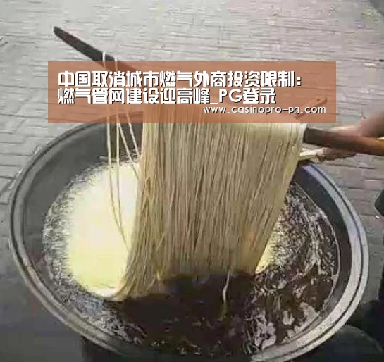 中国取消城市燃气外商投资限制:燃气管网建设迎高峰_PG登录(图2) PG娱乐