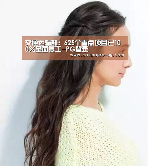 交通运输部:625个重点项目已100%全面复工-PG登录(图4) PG篮球