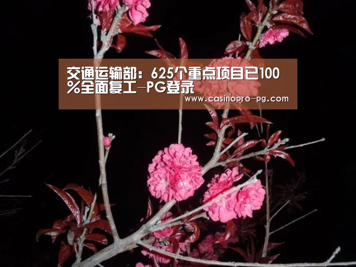 交通运输部:625个重点项目已100%全面复工-PG登录(图3) PG电竞