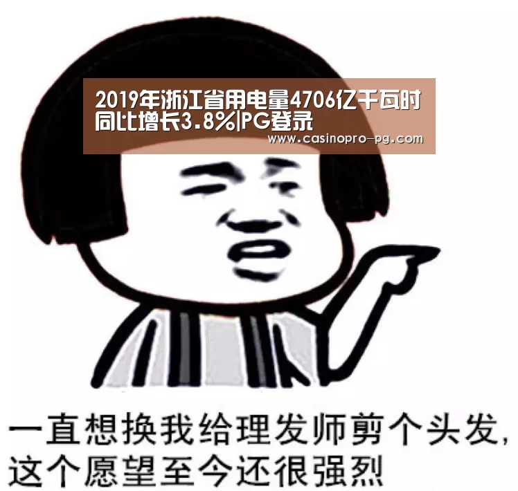 2019年浙江省用电量4706亿千瓦时同比增长3.8%|PG登录(图2) PG电竞